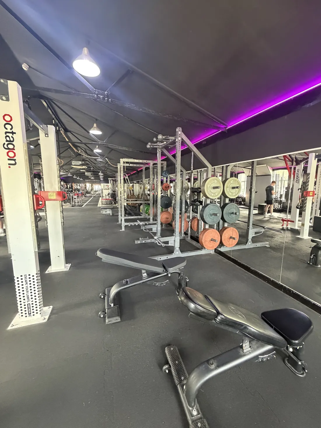 Squat racks and plates