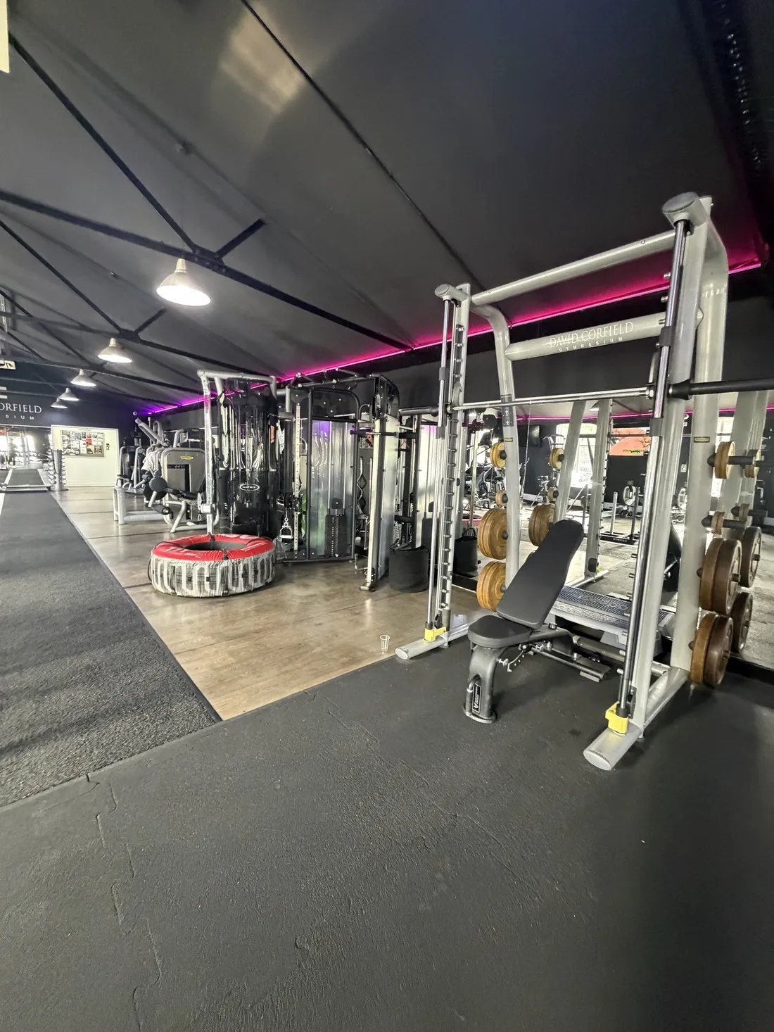 Cable machines and turf lane